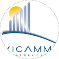 VICAMM CONSTRUCCION