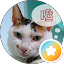 陳怡妏