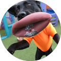 User profile - Mark S.