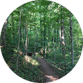 User profile - Jennifer Saylor.