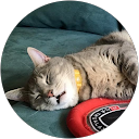 Avatar des Bewerters