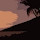 artemisvictrix's profile photo