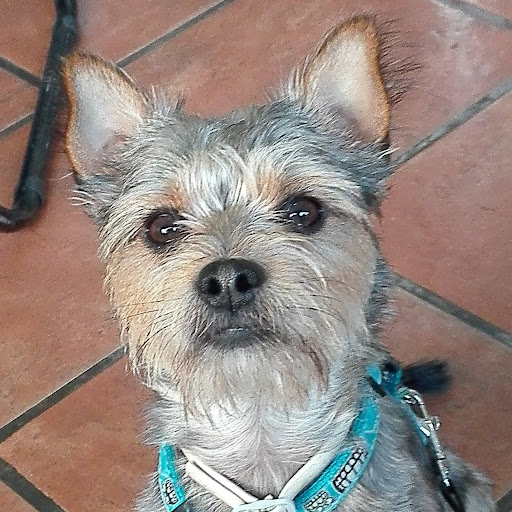kalitxu Muñoz Acevedo