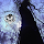 admin...@gmail.com's profile photo