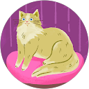 Candy Archibeque's profile image