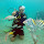 Rafael P. Chaves's profile photo