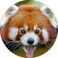 Avatar de Aurélien.r