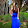 Stephanie Dorn's profile photo
