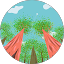 George Y