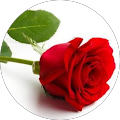 Rosa Dobratz