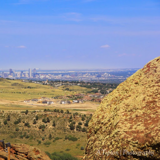 Leawood Reviews Sydney's Pet Resort and Spa