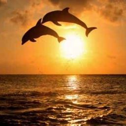Elly Wellness photo 3