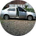 Nurdin Ardi