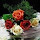 naveena G's profile photo