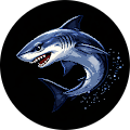 Shark -K