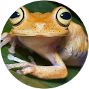 Happy Cline's profile image