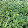 shujit...@gmail.com's profile photo