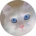 Avatar de Levesque.r