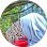 Syelvi Alvianita