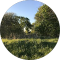 The Little Lot - Peotone, Illinois
