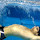 marc...@tin.it's profile photo
