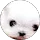 Community member