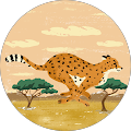 Community member