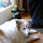 skavin...@gmail.com's profile photo