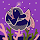Anna Gault's profile photo