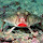 Julia Germany's profile photo