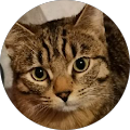 Avatar de DIEKEUR.