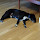 michael...@gmail.com's profile photo