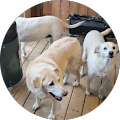 GetWebMax.com - Ottawa, Ontario
