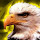 Luis Ramos's profile photo