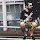 Armando Margarido's profile photo