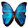 Deborah Moreira's profile photo