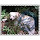 nikar's profile photo