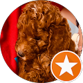 Digital Marketing Netic Agency - The Woodlands, Texas