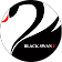 BLACK SWAN J