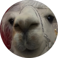 madmanadam13