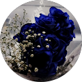 Avatar de fatima.z