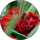 Ana Pozo profile picture