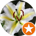 Avatar de suncica.j