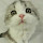 jink...@gmail.com's profile photo