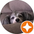 Review Author Image
