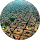 Miguel profile picture