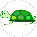 Avis de Turtled. avec une note de 5 sur 5