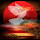 مجموعة نور الزهراء's profile photo