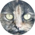 Avatar de Caroline.o