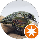 Wayne Swingle's profile image